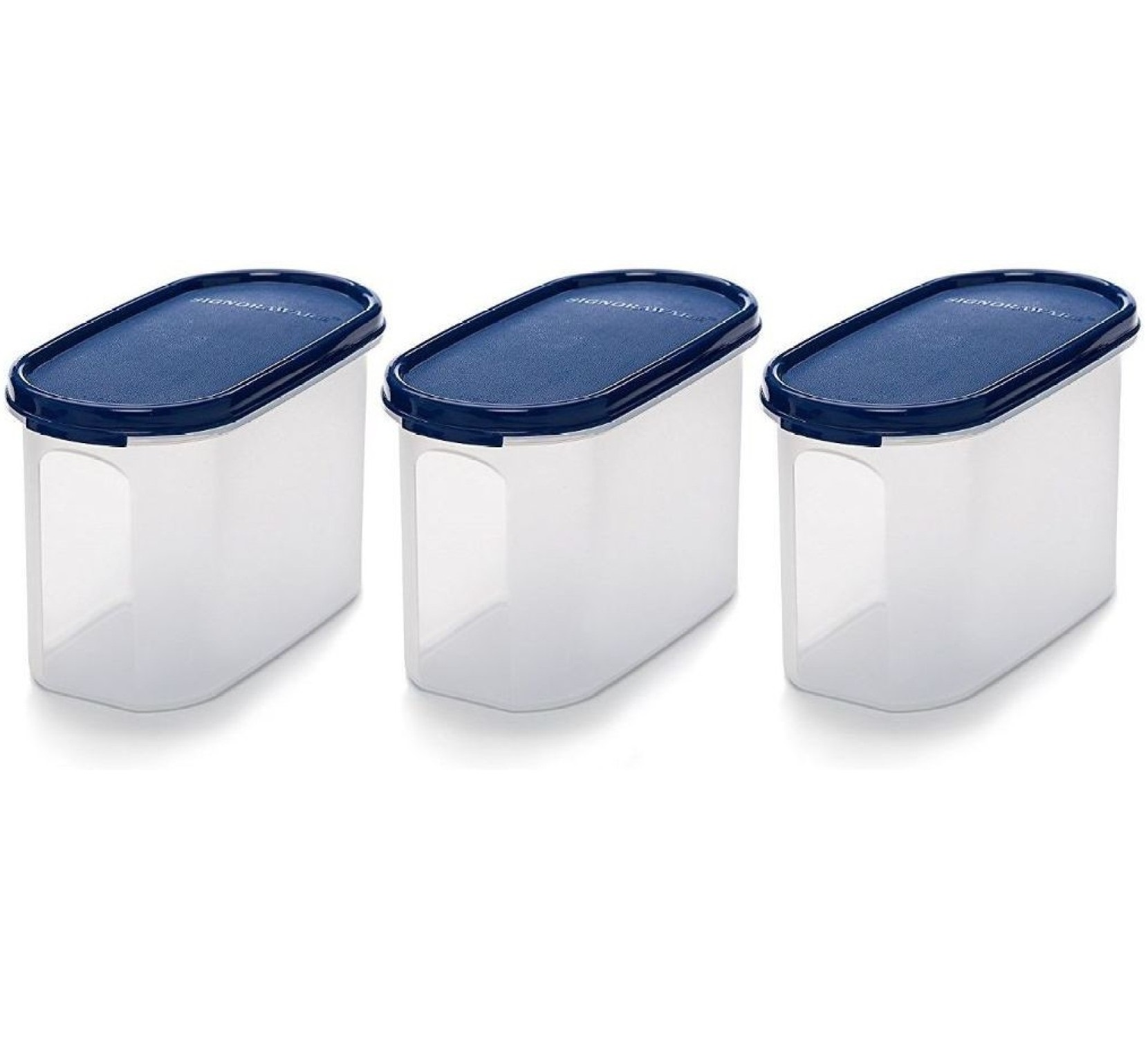 Signoraware Modular 1.1 L Grocery Container  (Set of 3, Blue)